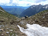 teggio18 073m